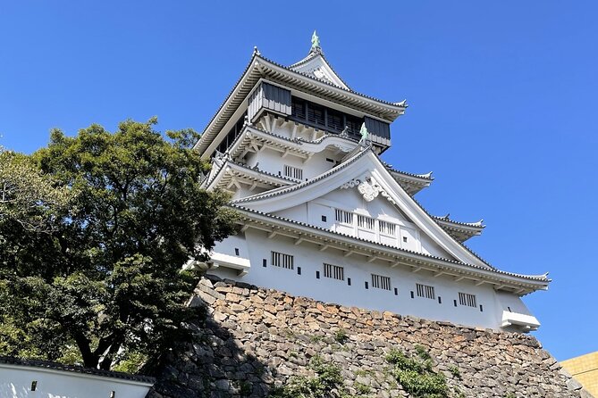 Private Tour to Kokura Castle, Uomachi Street, and Yasaka Shrine - Uomachi Street Shopping