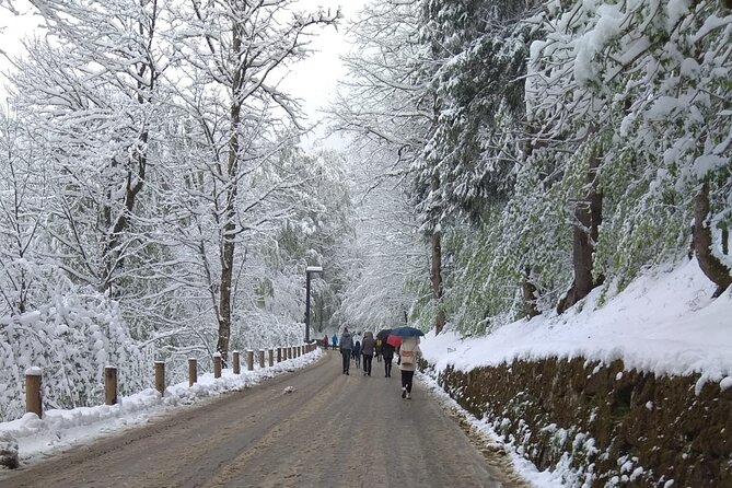 Private Tour to Schwangau and the Mad Kings Castles Region. - Exclusive Experiences