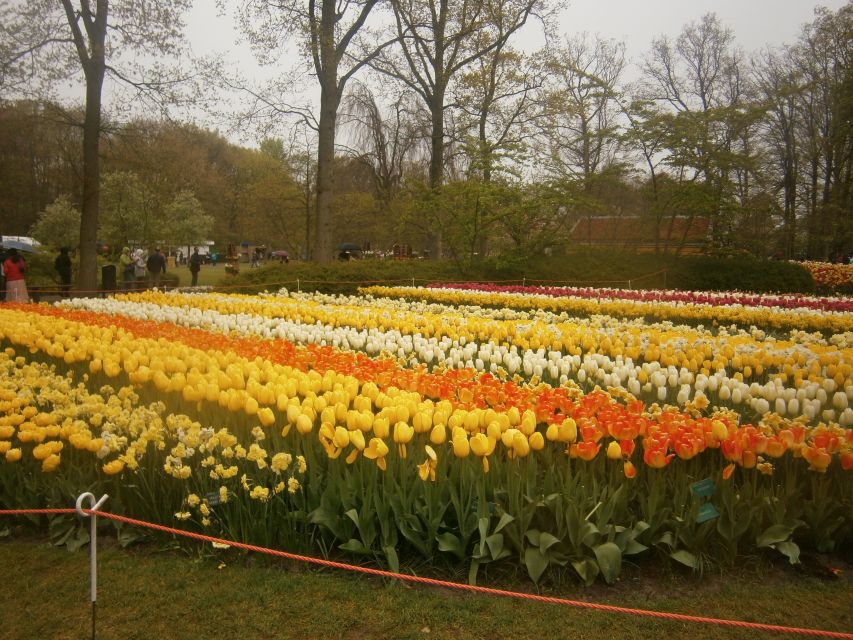 Private Tour to the Flowers From Amsterdam by Bus - Pickup and Transfer Information