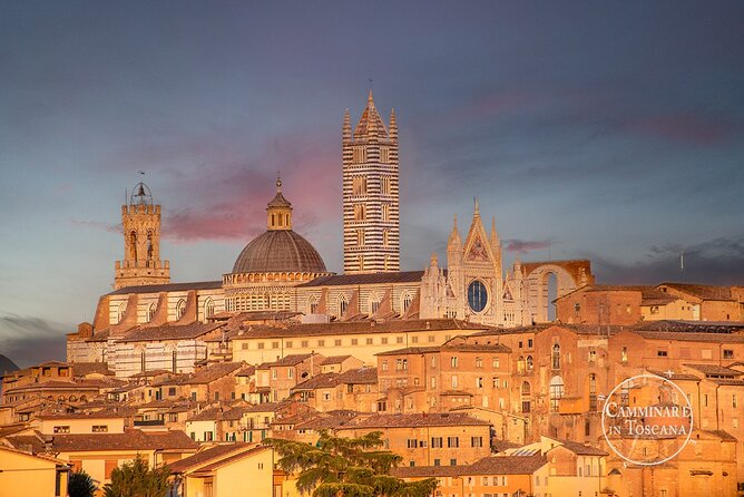 Private Tour to the Gothic Siena - Meeting Point and Logistics