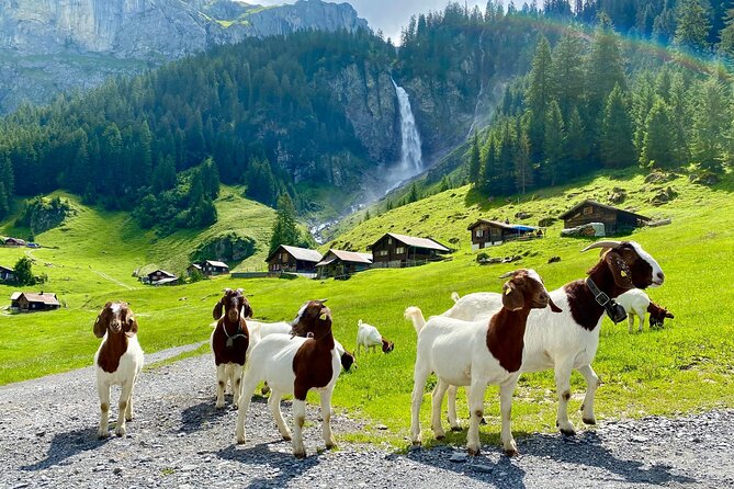 Private Tour to the Most Breathtaking Insider Spots in Switzerland (1 Day) - Itinerary Overview