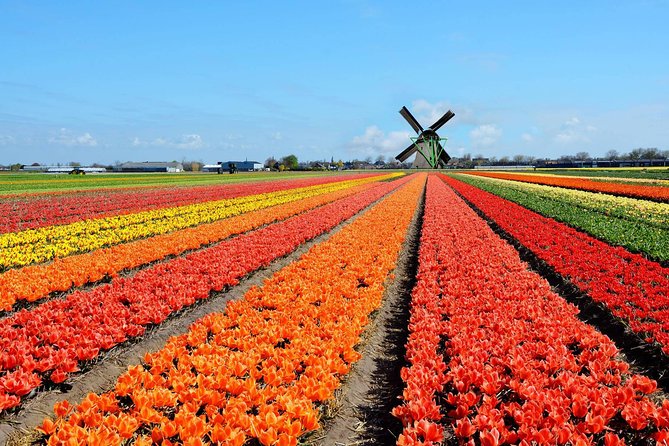 Private Tour :Traditional Holland and Amsterdam City Tour From Brussels Full Day - Sightseeing Locations Included