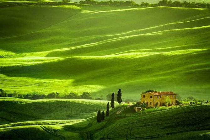 Private Tour: Tuscany Daytrip From Rome - Reviews and Ratings