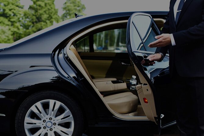 Private Transfer From Airport Nice to Monaco/ Monte Carlo - Drop-off and Pickup Information