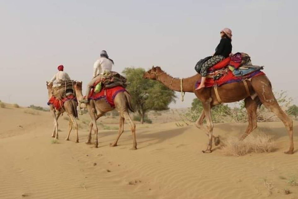 Private Transfer From Jodhpur to Jaisalmer With Osian Temple - Experience Highlights