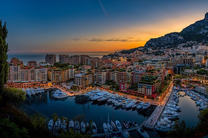 Private Transfer From Lyon To Monaco With a 2 Hour Stop in Nice - Vehicle and Driver Details