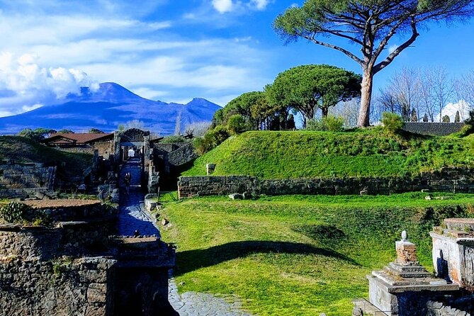 Private Transfer From Naples to Pompeii or Viceversa - Common questions