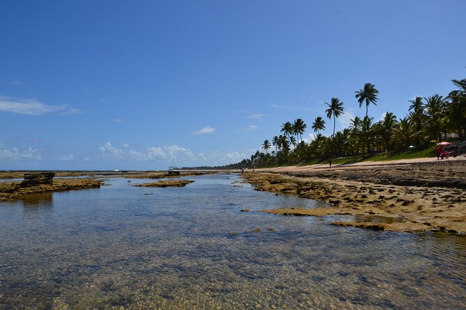 Private Transfer From Porto De Galinhas to Recife Airport - Pickup Locations