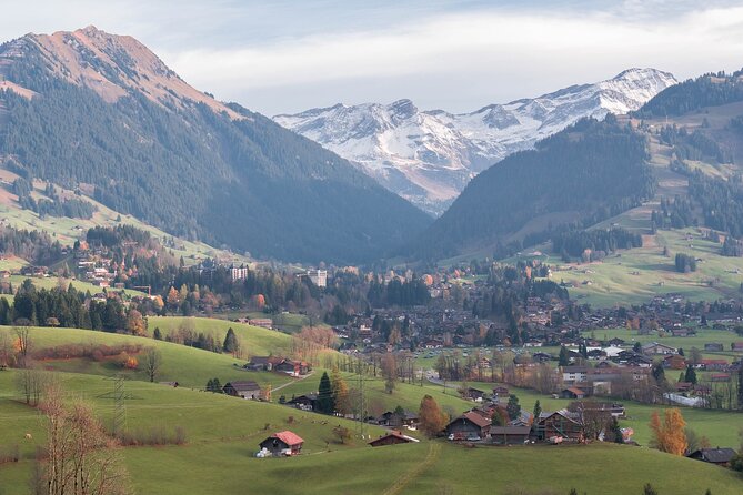 Private Transfer From Zurich to Gstaad With English Speaking Driver - Service Accessibility Features