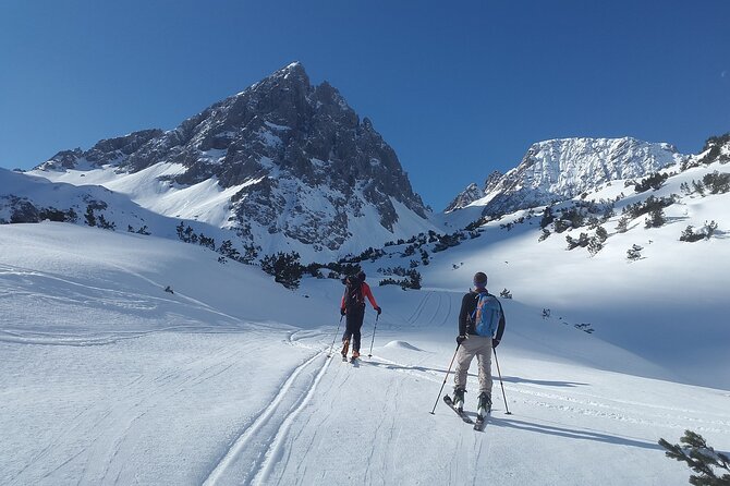 Private Transfer in the Alps From Zurich to Kitzbühel, English Speaking Driver - Service Animals and Accessibility