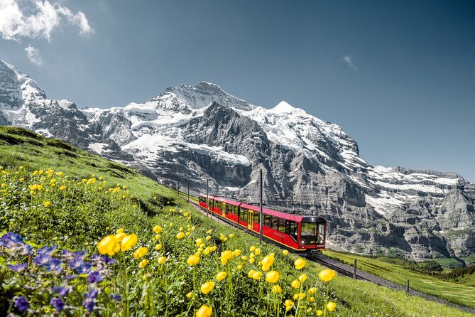 Private Trip From Zurich to Jungfraujoch (The Top of Europe) - Pickup Information