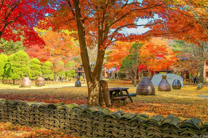 Private Trip to Nami Island and Ski Resort - Nami Island Exploration