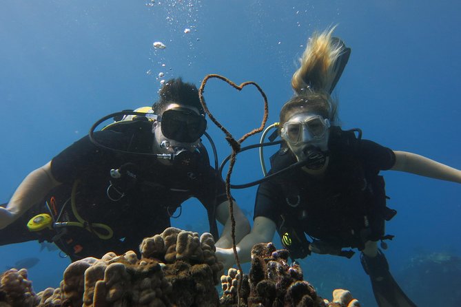 Private Two Person Scuba Dive in Kaanapali - Meeting and Pickup Information