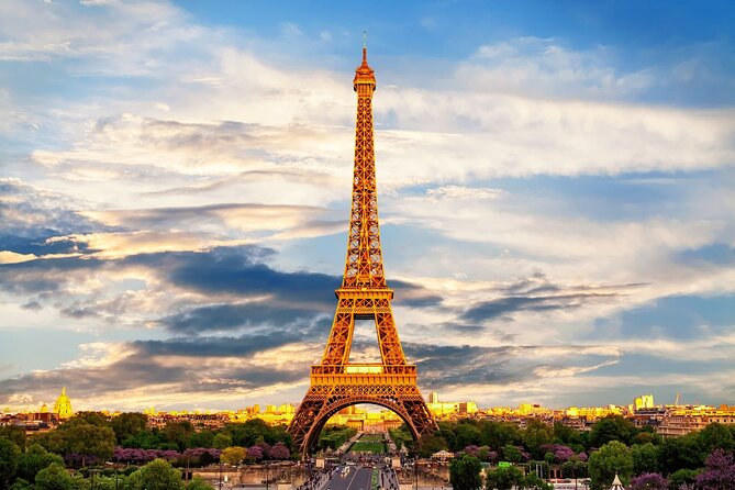 Private Van Tour in Paris 8-Hours - Inclusions and Exclusions