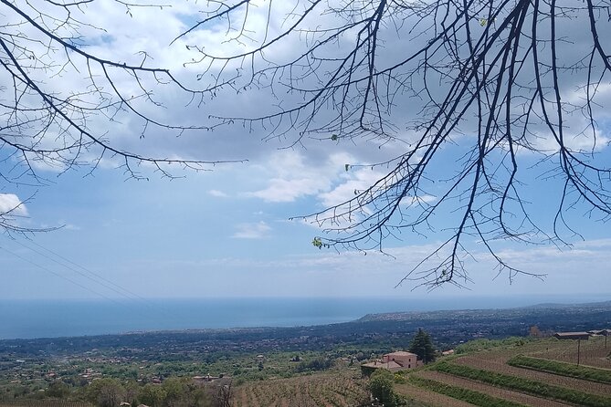 Private Visit to Mount Etna With Wine Tasting and Lunch - Booking Information