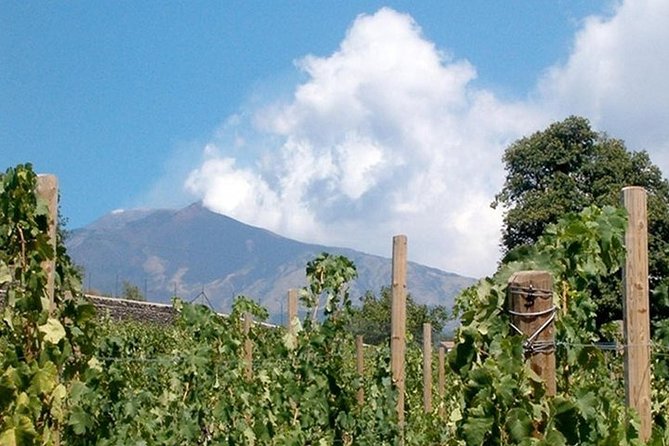 Private Visit to the Cellars of Etna With Wine Tasting - Wine Tasting Experience