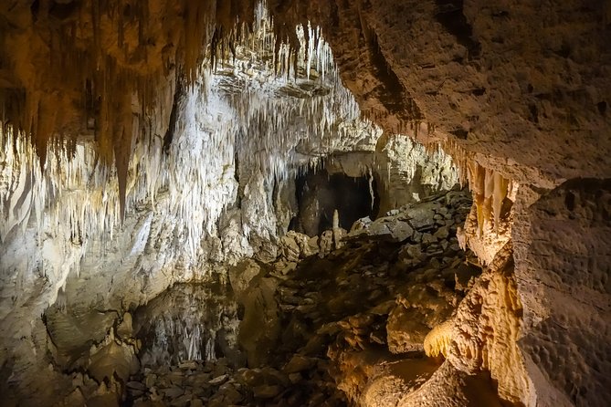 Private Waitomo Caves Tour - Auckland Tour House - Pickup Information
