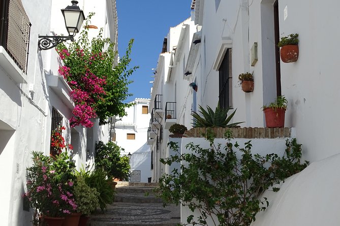 Private Walking Tour Around the Old Town of Frigiliana - Meeting Point Details