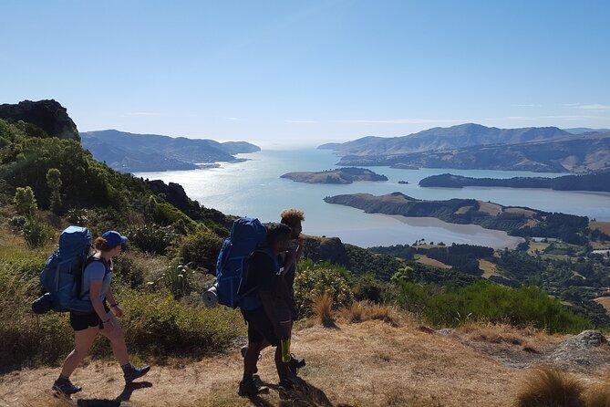 Private Walking Tour - Packhorse Hut From Christchurch - Tour Details and Itinerary