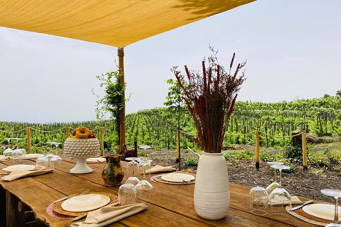 Private Wine and Food Tasting Immersed in Nature in Milo - Culinary Experience