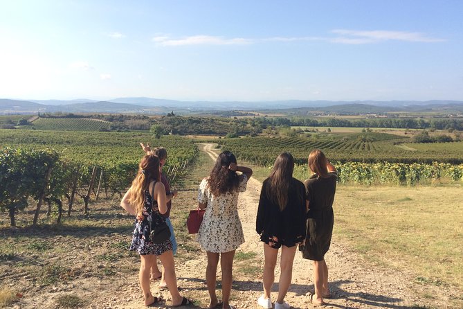 Private Wine Day Tour From Carcassonne and Around. - Accessibility Details