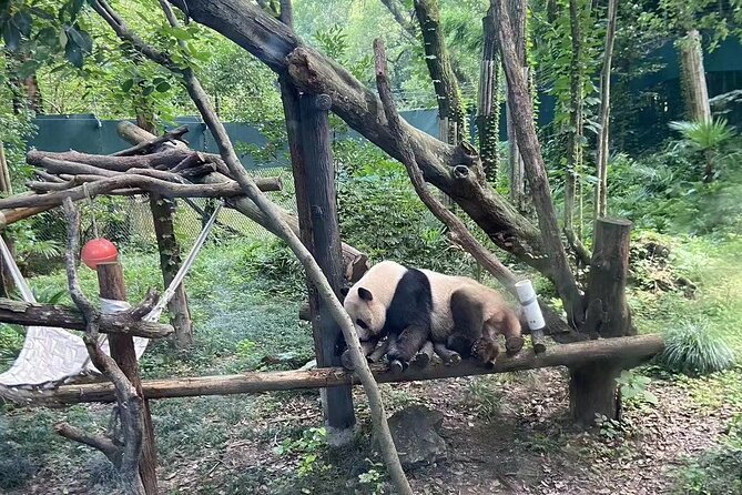 Private Zhujiajiao Water Town Tour With Shanghai Zoo and Panda - Pricing Information