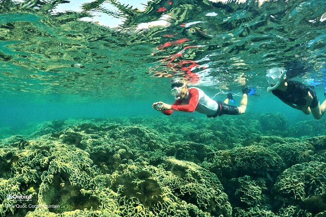 PROFESSIONAL SNORKELING to Explore Hidden Coral Spots (MAX 9 PAX) - Pricing and Refund Policy Details
