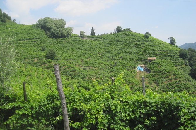 Prosecco Wine Tour (All-Inclusive Full Day With Lunch and Expert Wine Guide) - Booking Details