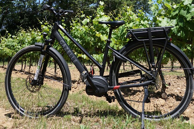 Provence and Wine Tasting by E-Bike From Bonnieux - Itinerary Details