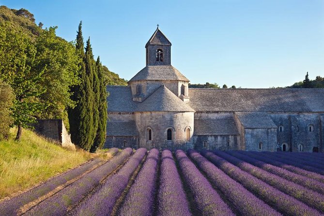 Provence Highlights Custom Full-Day Private Tour  - Marseille - Custom Itinerary Options