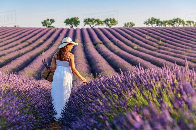 Provence & Lavander - Shared & Guided Full Day Tour From Nice - Pricing and Booking Information