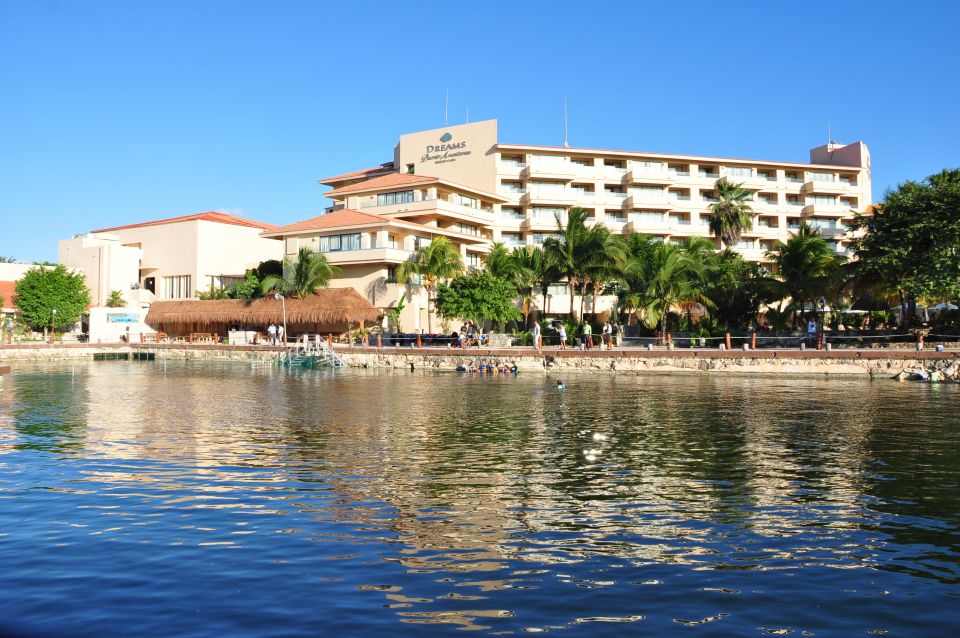 Puerto Aventuras: Amazing Dolphin Encounter With Lunch - Experience Offered