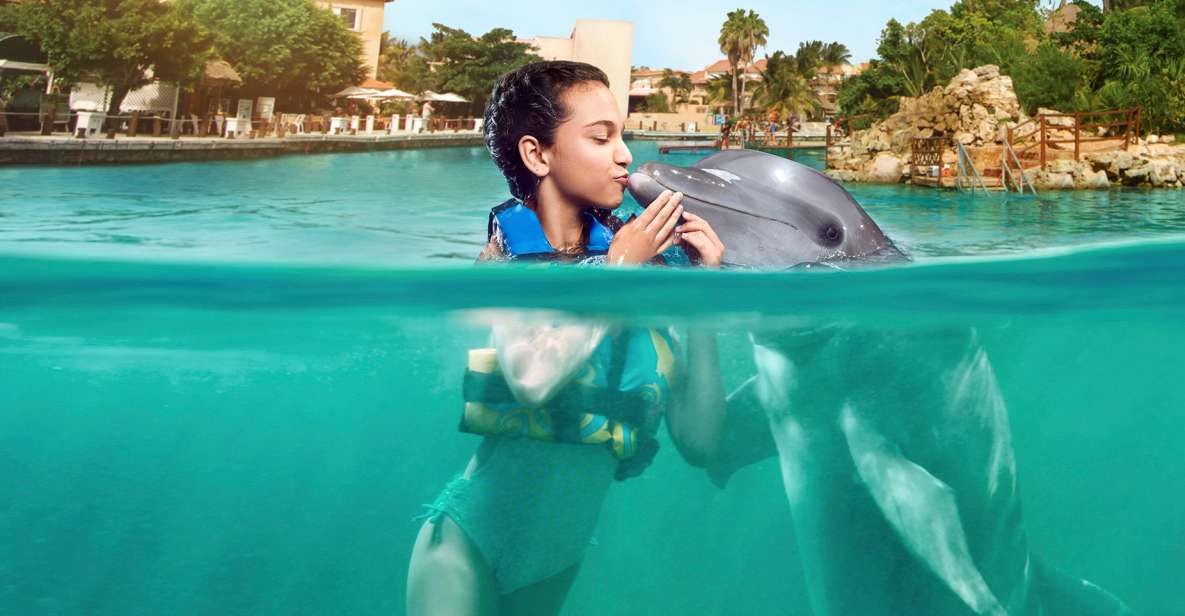 Puerto Aventuras: Dolphin Encounter With Buffet Lunch - Experience Highlights