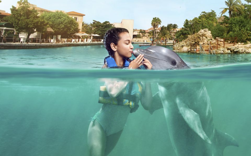 Puerto Aventuras: Dolphin Swim, Manatee Meet, and Lunch - Experience Details