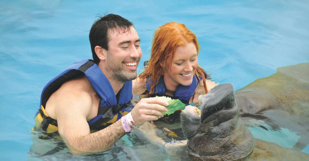 Puerto Aventuras: Manatee Encounter - Full Description of Experience