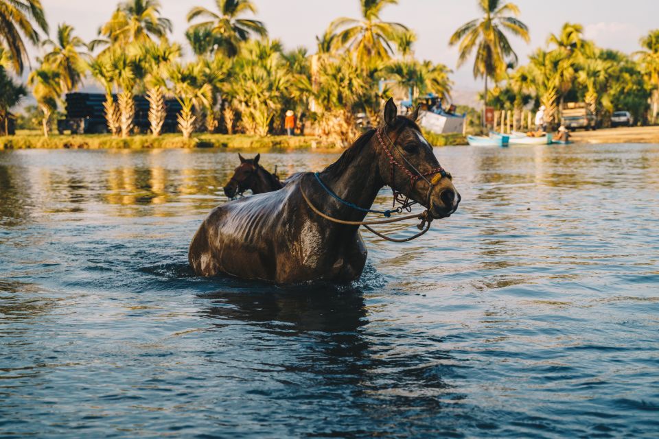 Puerto Escondido: Sunset Horse Ride - Pickup Information