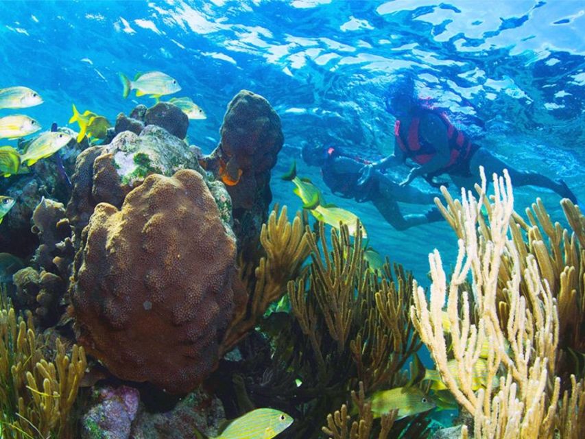 Puerto Morelos Snorkel With Lunch - Experience Highlights