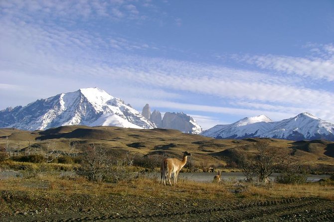 Puerto Natales: Full Day Tour Torres Del Paine - Cancellation Policy