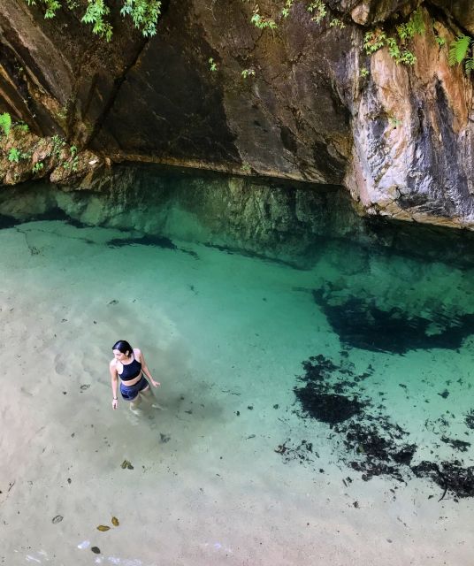 Puerto Vallarta: 4-Hour Jungle Hike and Waterfall Swim - Experience Highlights