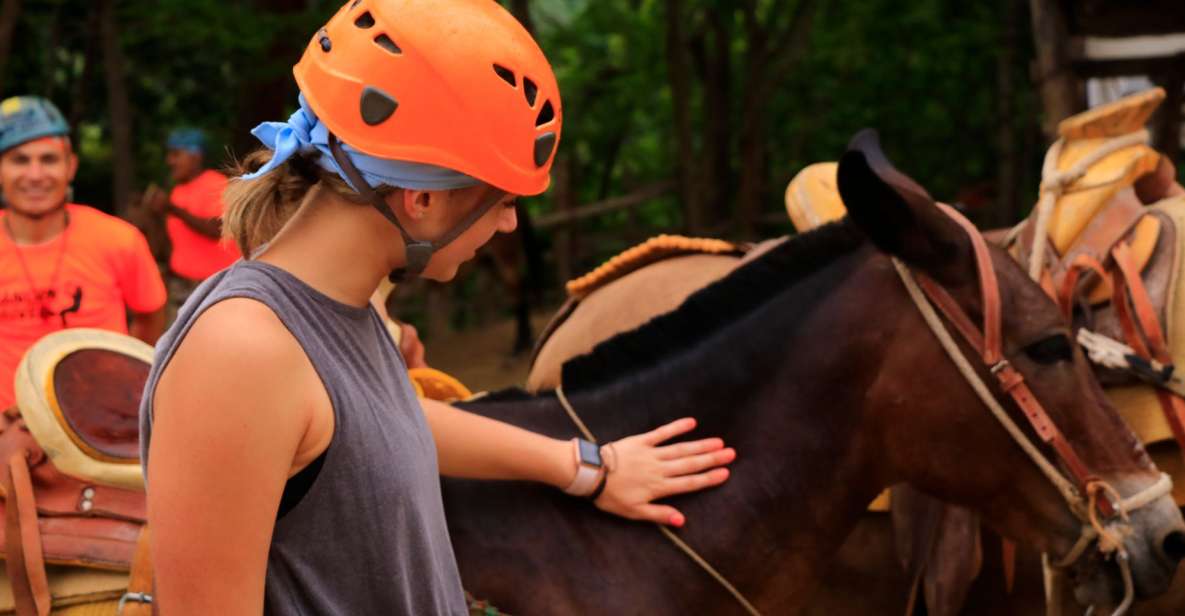 Puerto Vallarta: Canopy River Zip Line Tour With Mule Ride - Experience Highlights