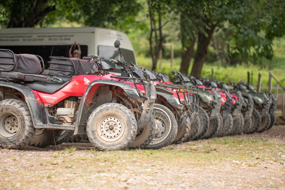 Puerto Vallarta: Horse Riding Tour W/ Optional ATV & Zipline - Highlights of the Tour