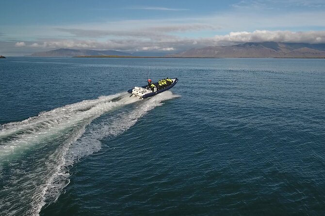 Puffin Express by RIB Speedboat - Meeting and Logistics