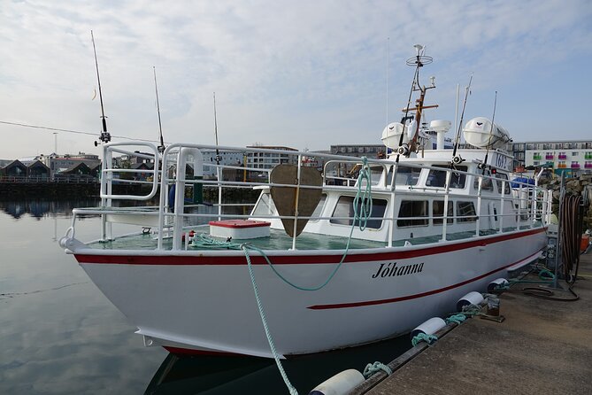 Puffin Observation by Boat From Reykjavik Old Harbour - Additional Information