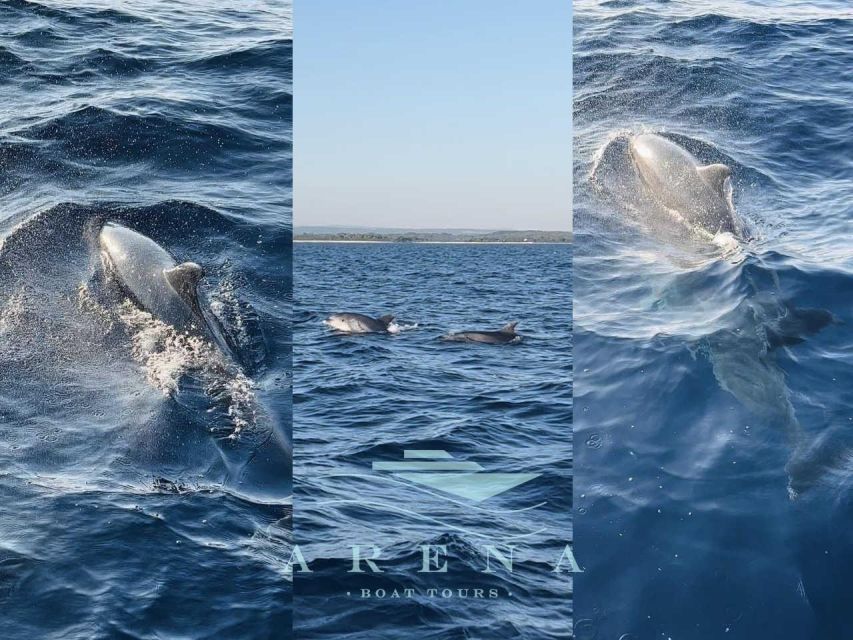 Pula: Brijuni Sunset Dolphin Watching Tour W/ Dinner/Drinks - Experience Highlights