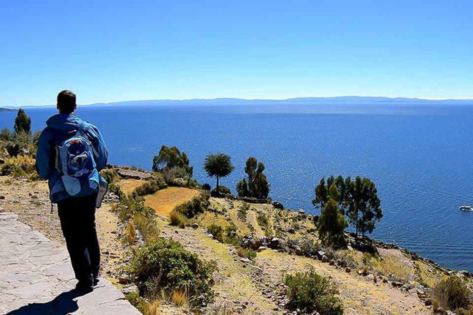 Puno: Lake Titicaca Day Tour - Experience Highlights