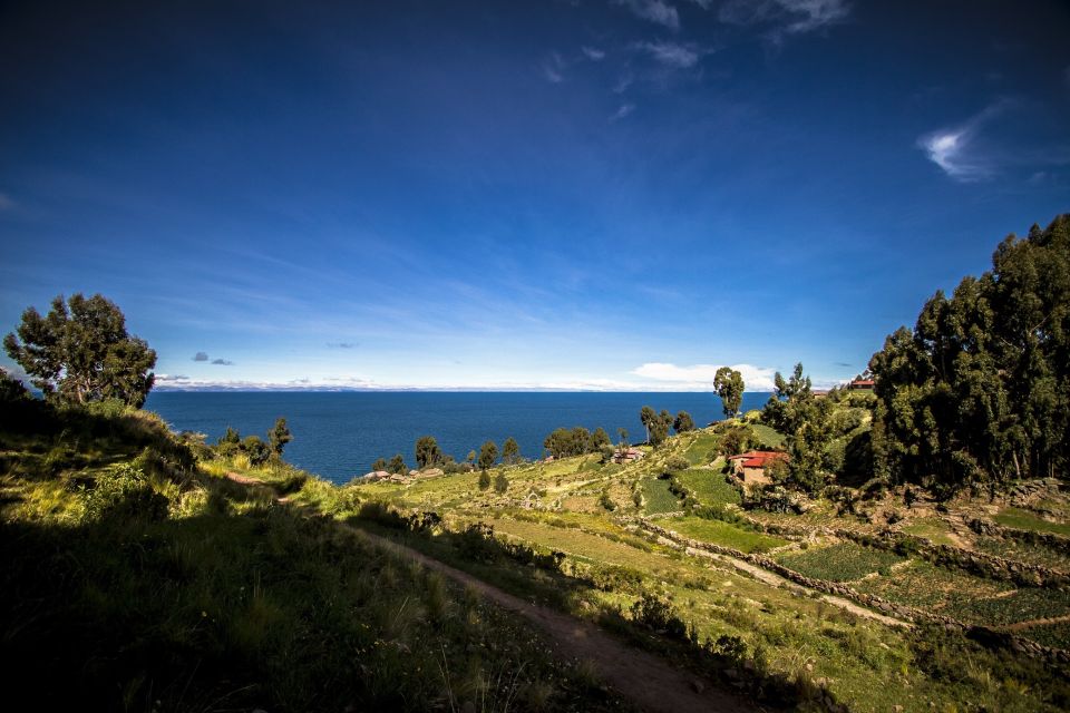 Puno: Uros Floating Islands & Taquile Full Day Tour - Activity Details