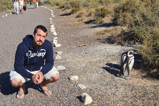 Punta Tombo Tour, the Penguin Experience - Last Words