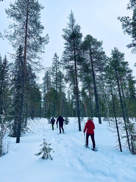 Pyhätunturi: Guided Snowshoeing Tour in Pyhä-Luosto - Experience the Arctic Wilderness