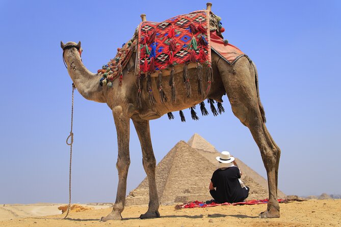Pyramids of Giza, Sphinx and Egyptian Museum Day Tour - Pricing and Booking