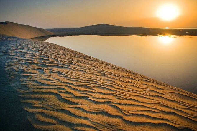 Qatar Desert Safari, Dune Bashing (Private Safari Tour) - Private Safari Experience